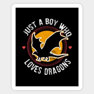 Just a boy who loves dragons Sticker